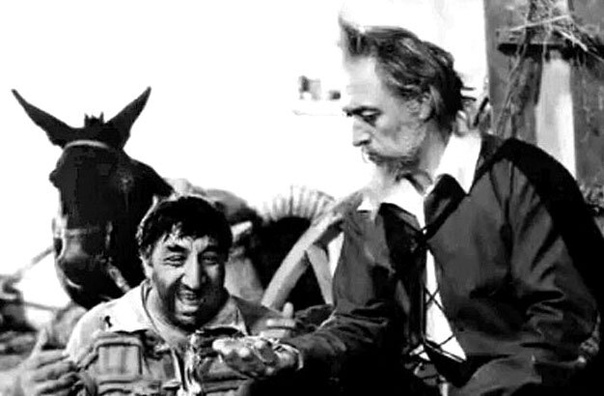 житие дон кихота 1988