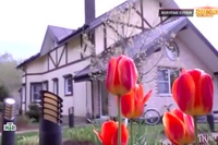 екатерина климова дома. загородный дом екатерины климовой. загородный дом екатерины климовой. загородный дом екатерины климовой. дом екатерины климовой.