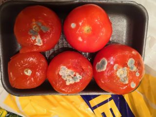 Плесень на помидорах. Плесень на помидорах можно ли есть. Плесень на овощах. Плесень на томатах. Плесень на помидорах можно ли есть.