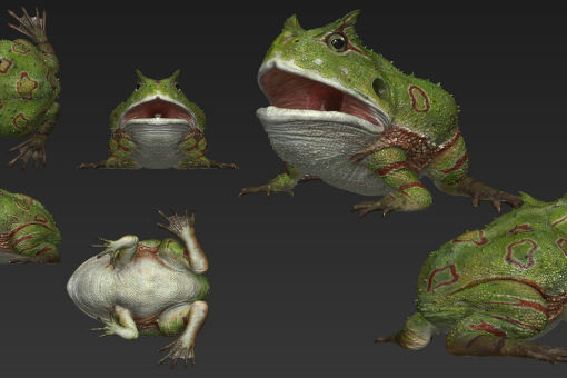 древние жабы. древние жабы. древние жабы. Beelzebufo ampinga вымершие бесхвостые земноводные. Beelzebufo ampinga.