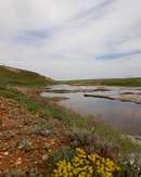 соленые урочище