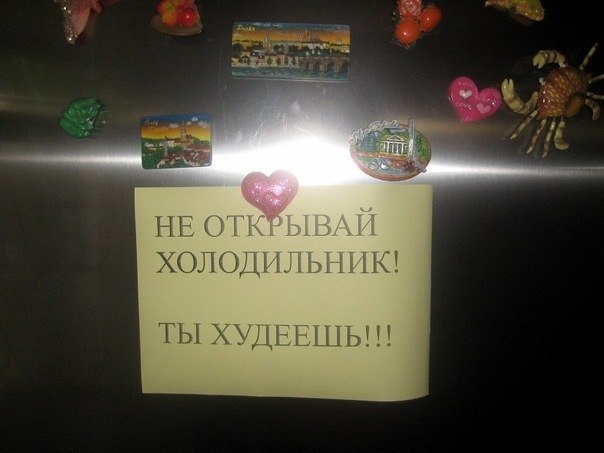 Прикол На Холодильник Для Похудения.